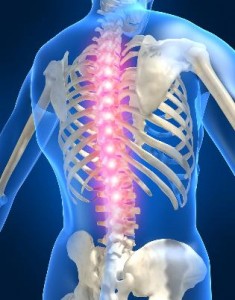osteoporoz-harakteristika-i-prichiny-zabolevania